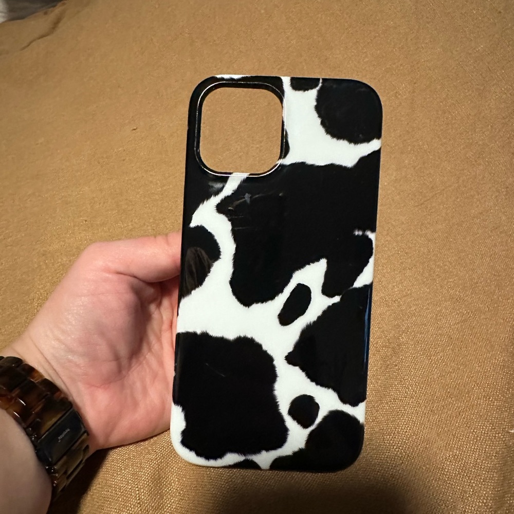 12 Pro Max Case